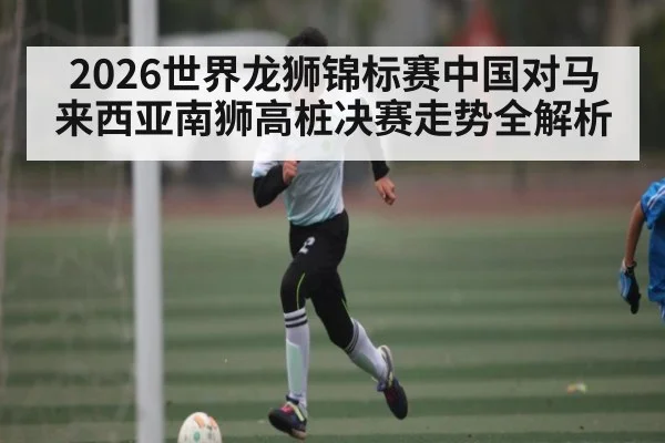 2026世界龙狮锦标赛中国对马来西亚南狮高桩决赛走势全解析 | c7c7.app